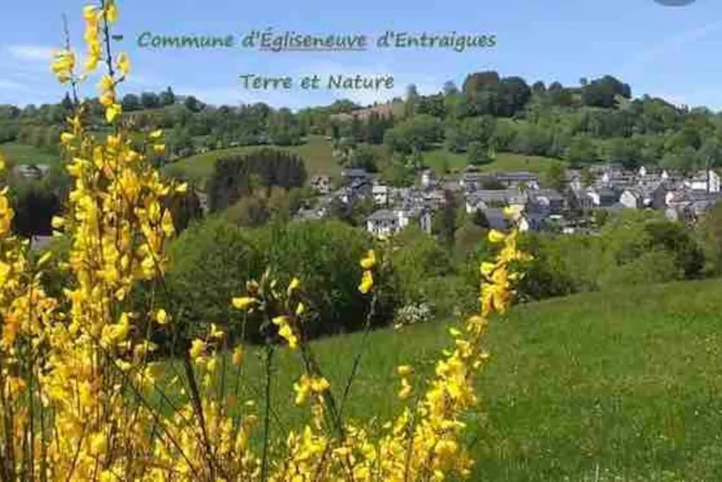 Appartement Dans Un Village En Auvergne Sancy Egliseneuve-d'Entraigues Apartment